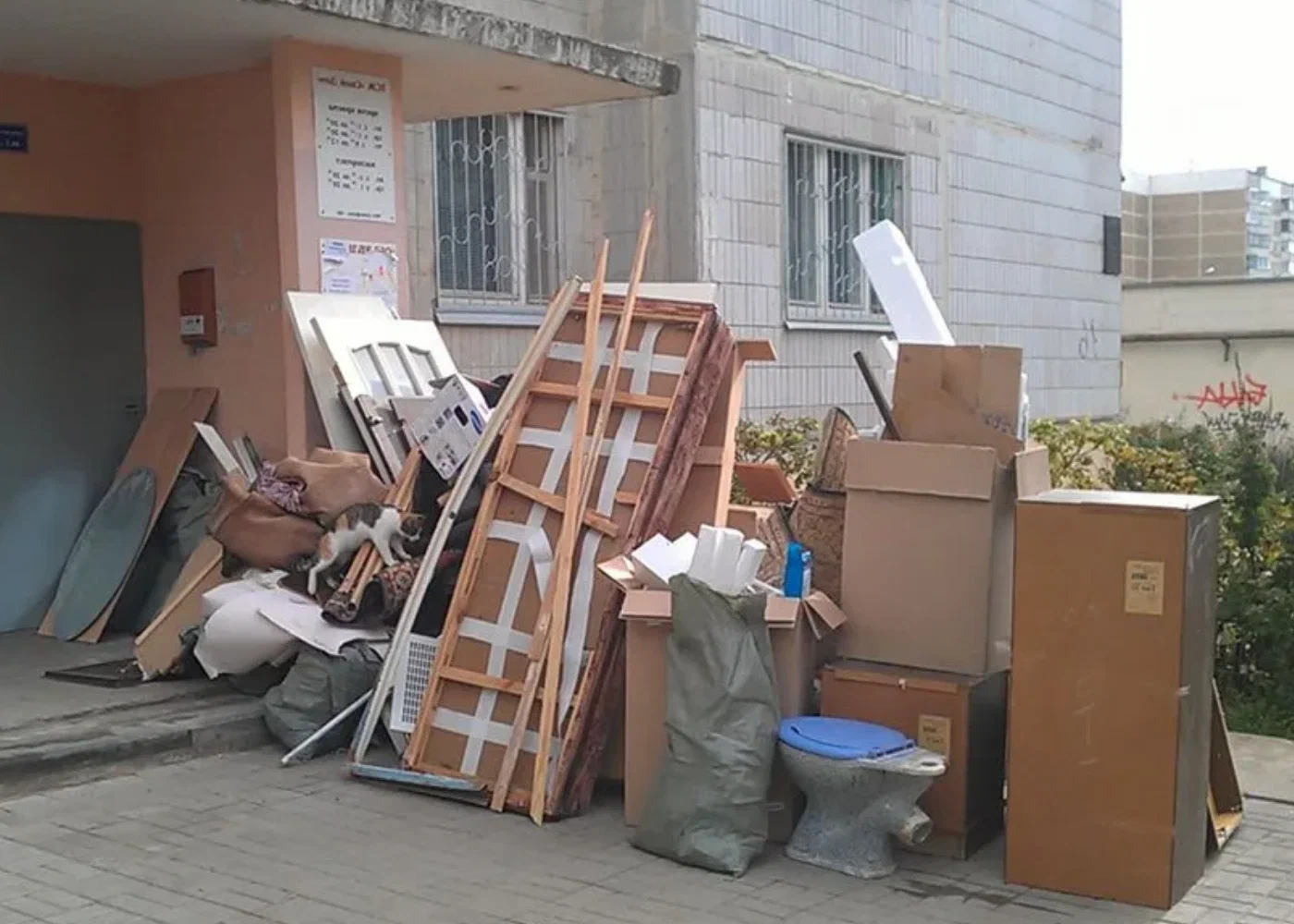 Профессиональный вывоз мусора из квартиры в Калининграде в октябре