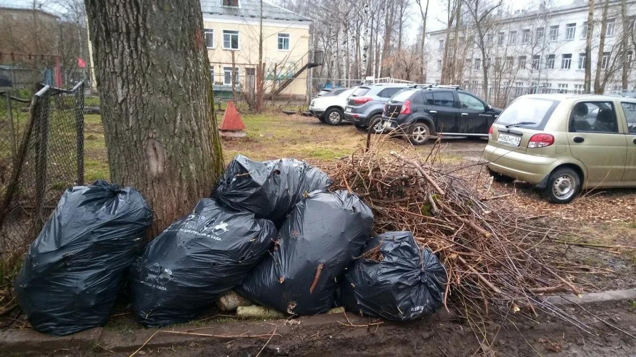 Вывоз мусора после субботника в Калининграде от ПроМусор – уборка и утилизация отходов от 2378 руб