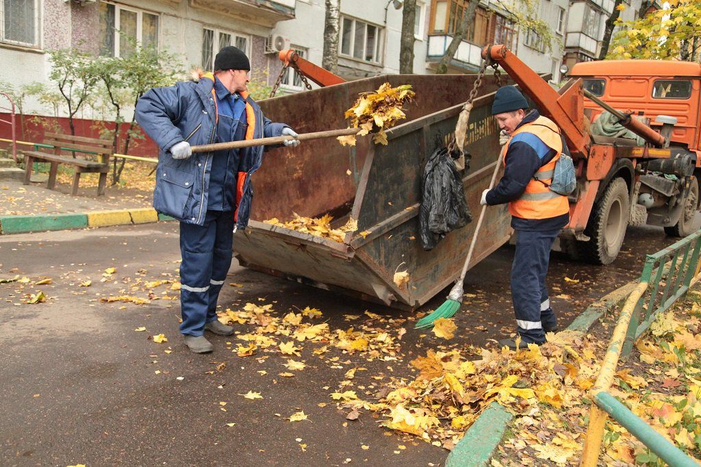 Вывоз опавшей листвы и растительного мусора в Калининграде от ПроМусор – цена от 4553 руб., быстрая уборка и утилизация
